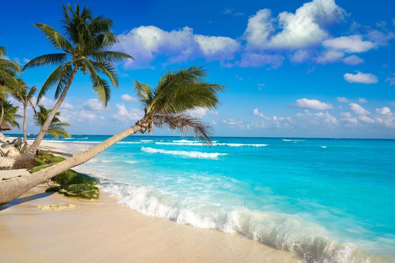 Moonshine Hotel Playa del Carmen Kültér fotó